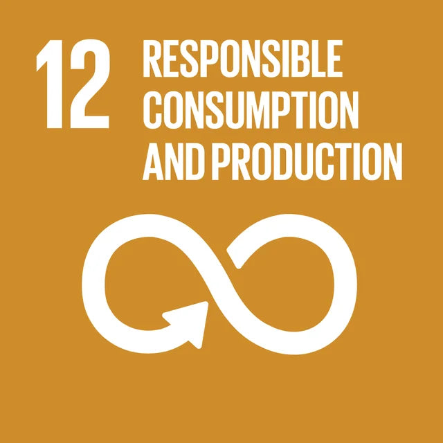 responsible_consumption_and_production